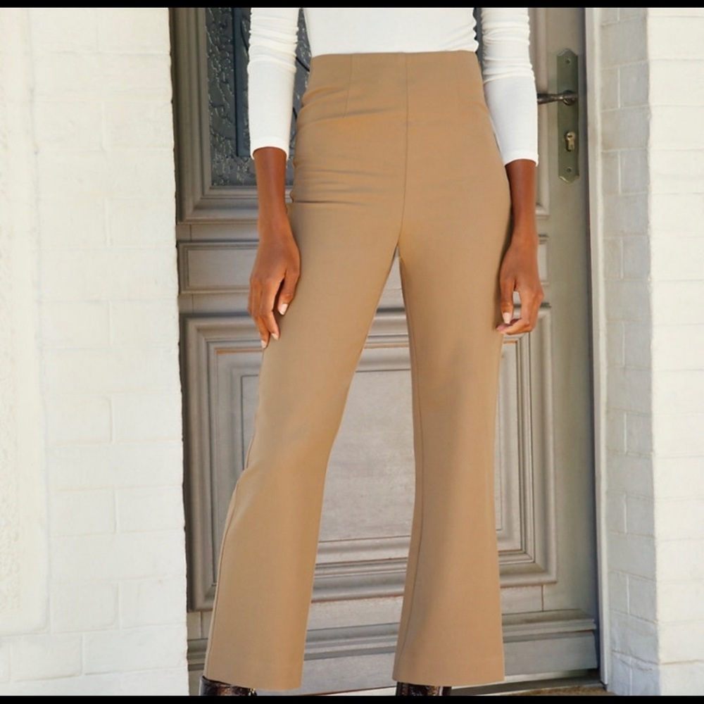 Aritzia Proto Pant